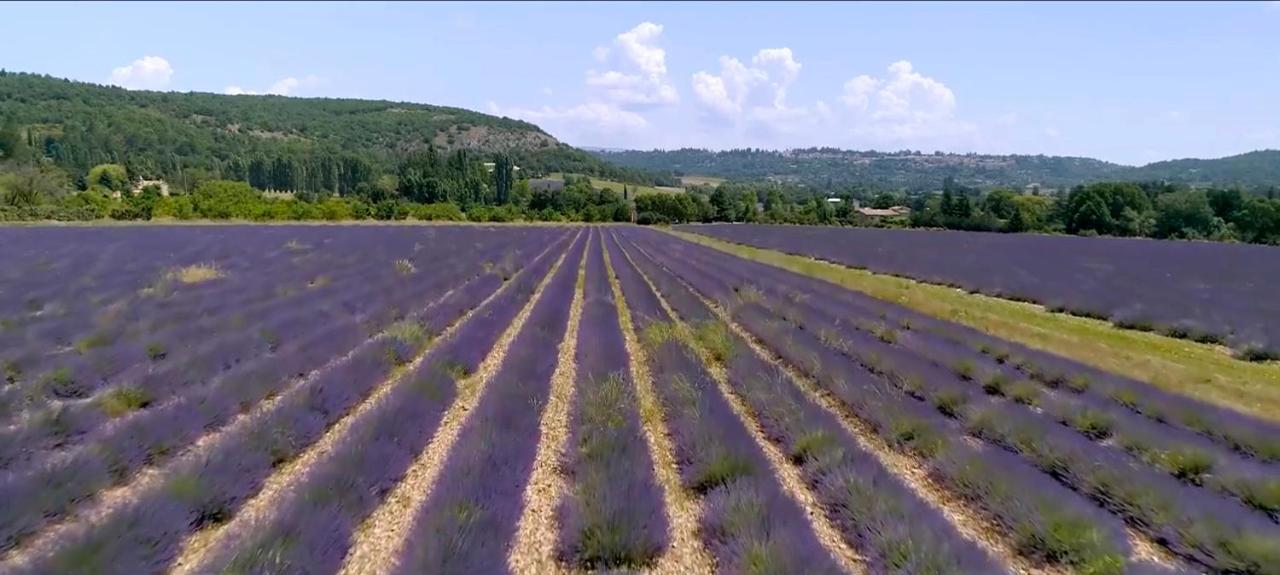 Le Nesk Ventoux - Hotel Sault-de-Vaucluse Exteriör bild