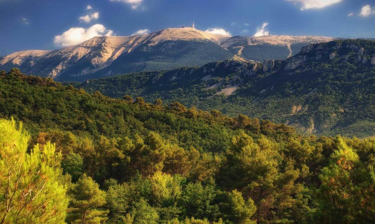 Le Nesk Ventoux - Hotel Sault-de-Vaucluse Exteriör bild
